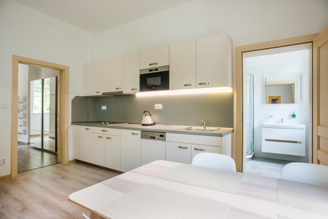 Apartmany Pstruzi Ap19 Pstruzi (Karlovy Vary) Exterior foto